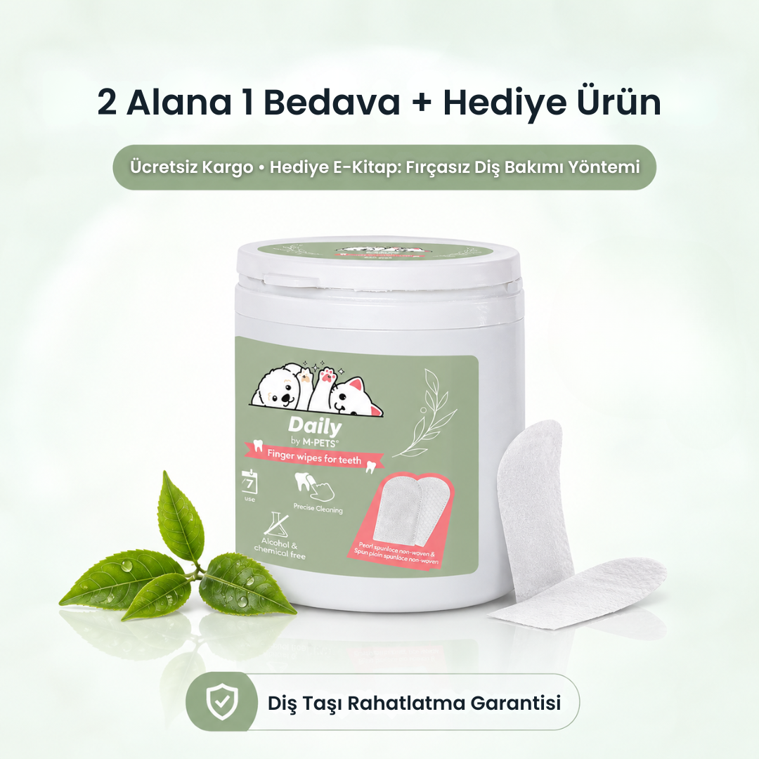 Pumio Kedi/Köpek Diş Mendili
