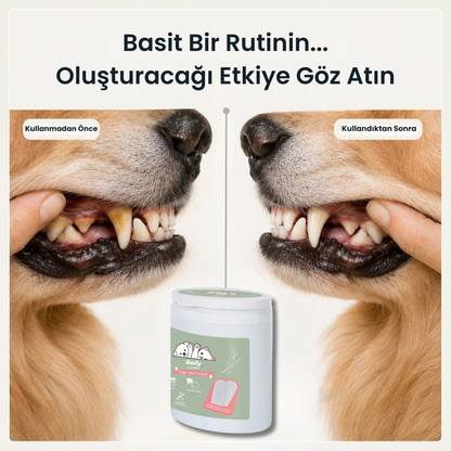 Pumio Kedi/Köpek Diş Mendili