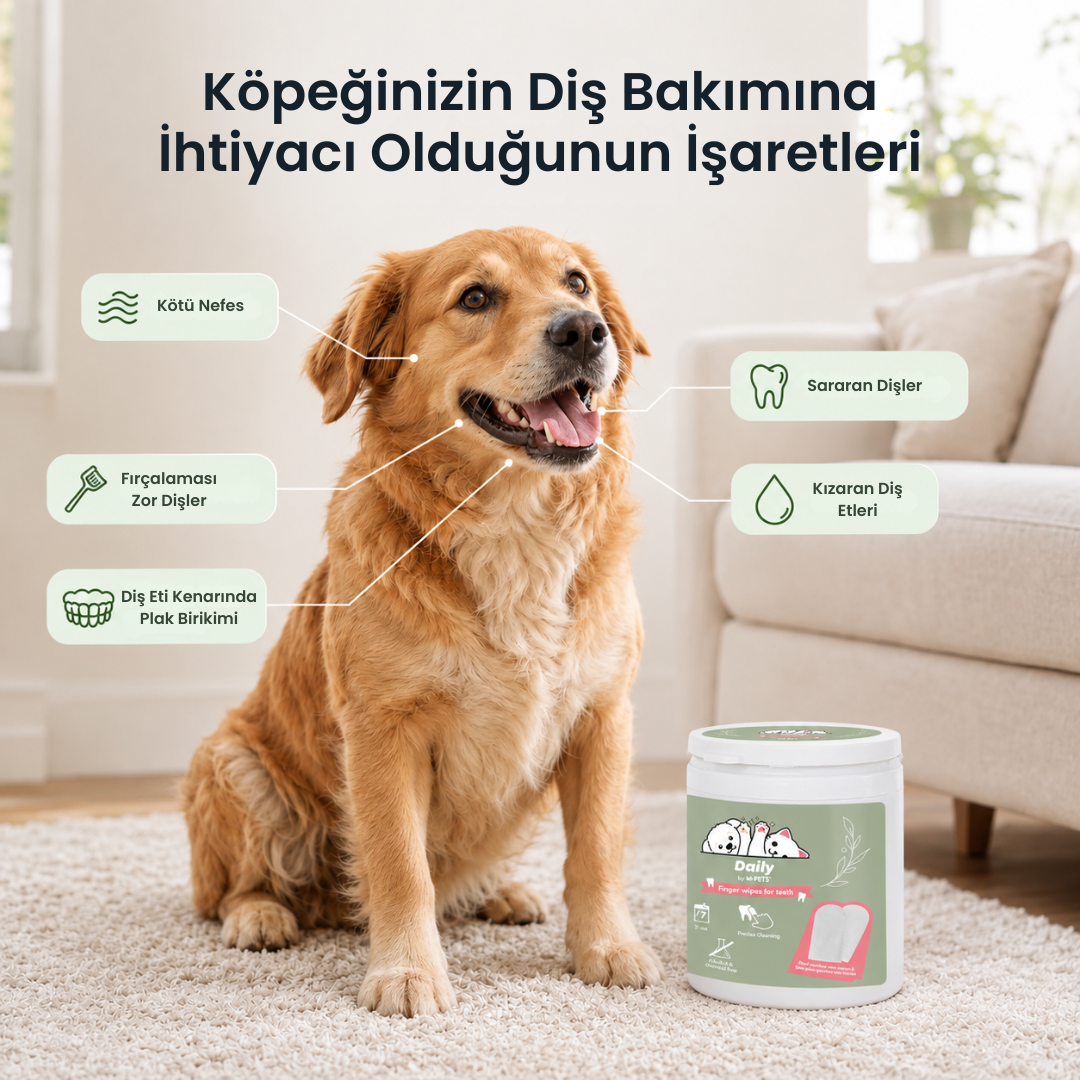 Pumio Kedi/Köpek Diş Mendili