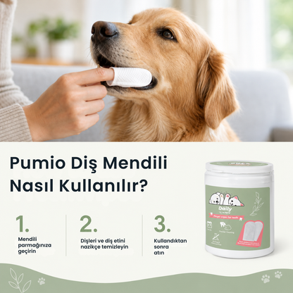Pumio Kedi/Köpek Diş Mendili